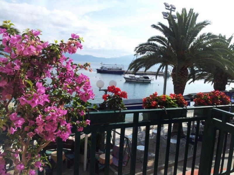 Apartman Iris Gradac  Exteriér fotografie